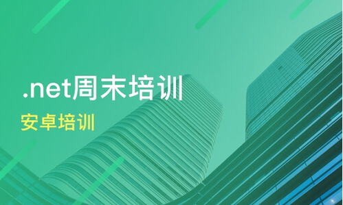 杭州安卓培訓費用與優質機構推薦 海文國際與淘學培訓對比分析